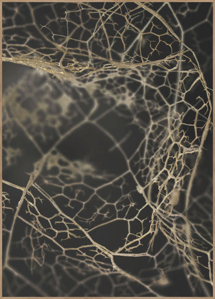 Blattskelett Dunkel | Plakatbrett