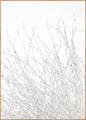 Light and white | POSTER BOARD