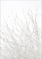 Light and white | POSTER