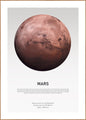 Mars Light | POSTER BOARD