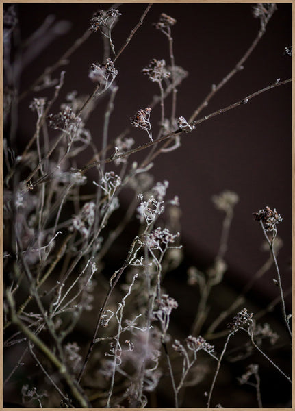 Mellow Grasses 6 | POSTER BOARD