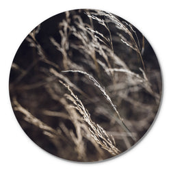 Mellow Gräser 7 | CIRCLE ART