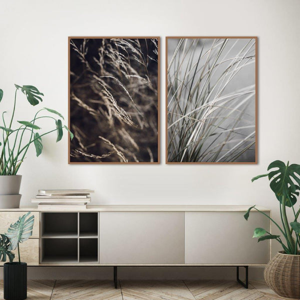 Mellow Gräser 7 | POSTER