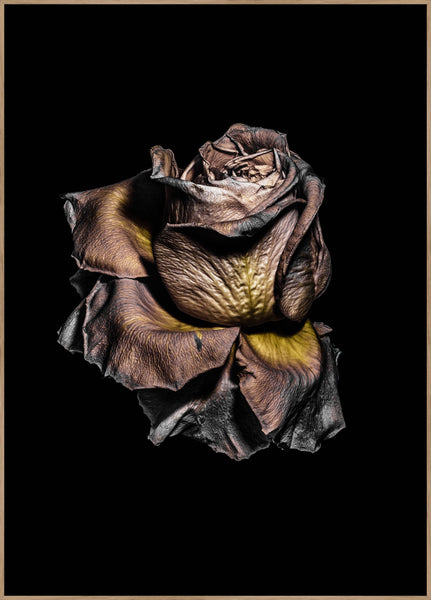 Metallic Rose | POSTER BOARD