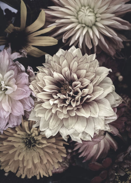 Opulent 5 | Plakatbrett
