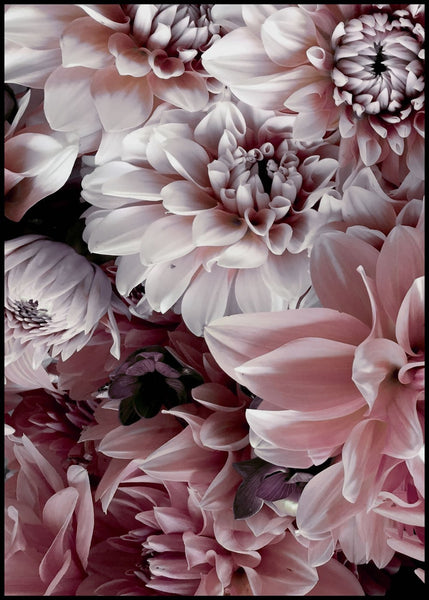 Opulent 8 | Plakatbrett