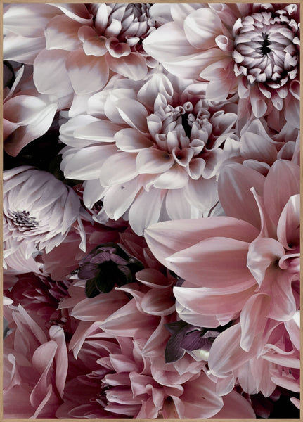 Opulent 8 | Plakatbrett
