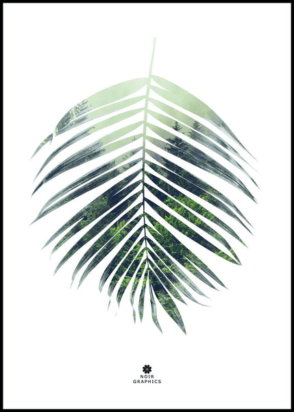 Palm leaf | POSTER BOARD