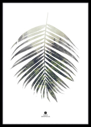 Palm leaf | POSTER