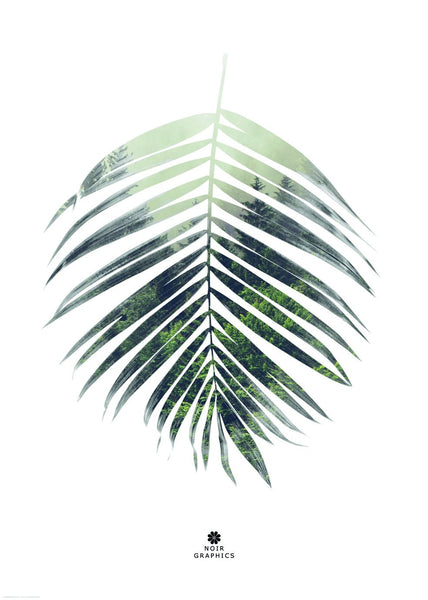 Palm leaf | POSTER BOARD