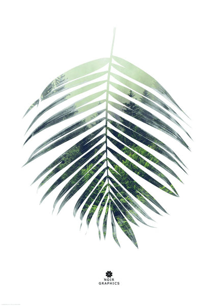 Palmblatt | Plakatbrett