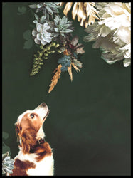 Haustier Couture 1 | Plakatbrett