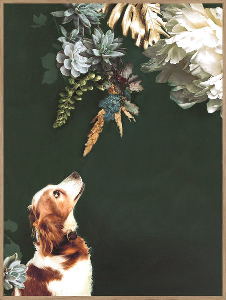 Haustier Couture 1 | Plakatbrett