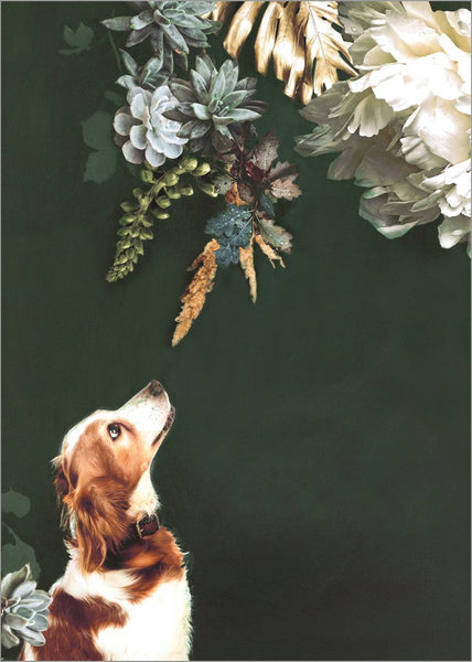 Haustier Couture 1 | POSTER