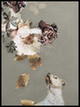 Pet Couture 2 | POSTER BOARD