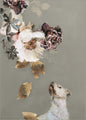 Pet Couture 2 | POSTER