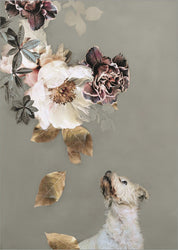 Haustier Couture 2 | POSTER