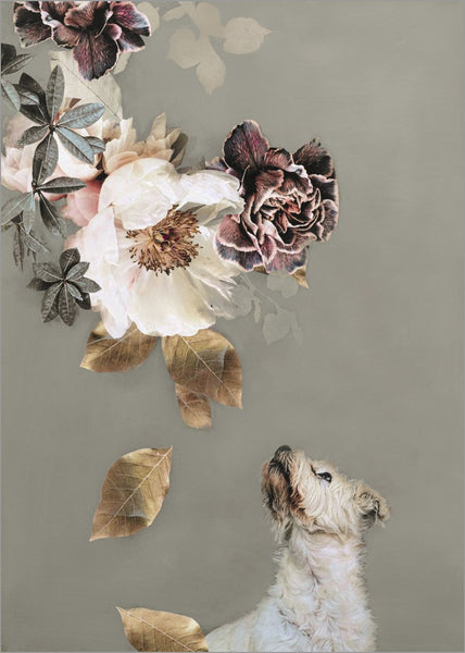 Haustier Couture 2 | POSTER