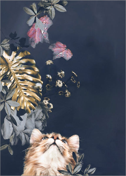 Haustier Couture 3 | POSTER