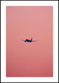 Pink flight | POSTER BOARD
