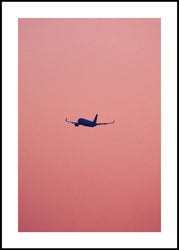 Rosa Flug | Plakatbrett