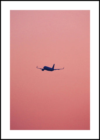 Pink flight | POSTER BOARD