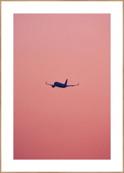 Rosa Flug | Plakatbrett