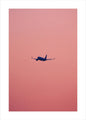 Pink flight | POSTER