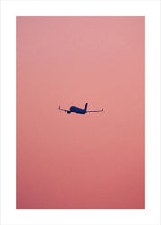 Rosa Flug | POSTER