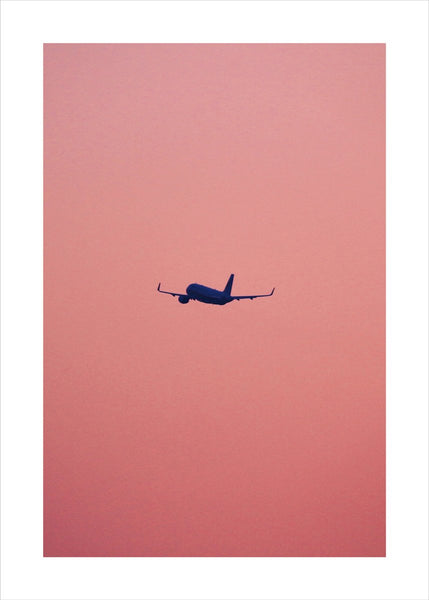 Rosa Flug | POSTER