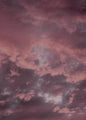 Pink sky | POSTER
