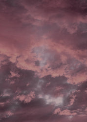 Rosa Himmel | POSTER
