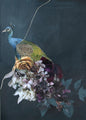 Haute couture 10 | POSTER