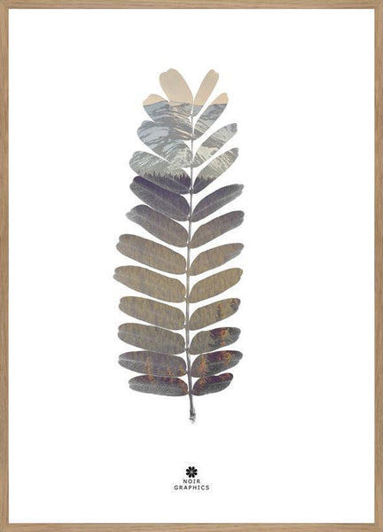 Tamarind leaf | POSTER
