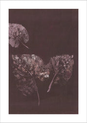 Reine Natur 5 | POSTER