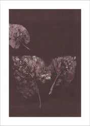 Reine Natur 5 | POSTER