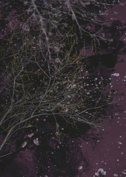 Fluss des Weins | Plakatbrett