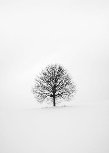 Einsam 1 | Plakatbrett