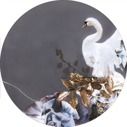 Swan Gold 1 | CIRCLE ART