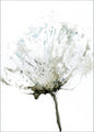 Tenderness 2 | POSTER