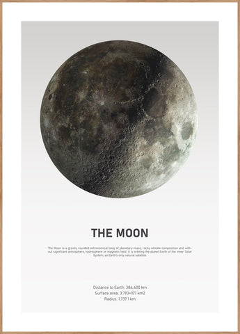 The Moon Light | POSTER BOARD