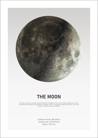 The Moon Light | POSTER