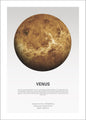 Venus Light | POSTER