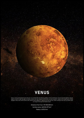 Venus | POSTER BOARD