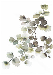 Wasserpflanzen 1 | Poster | POSTER