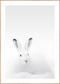 White Rabbit | POSTER BOARD