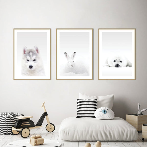 Weißer Wolf | POSTER