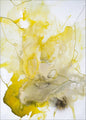 Yellow Line | POSTER