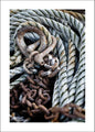 Blue rope | POSTER