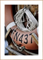 Lifebuoy | POSTER BOARD